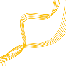 yellow line