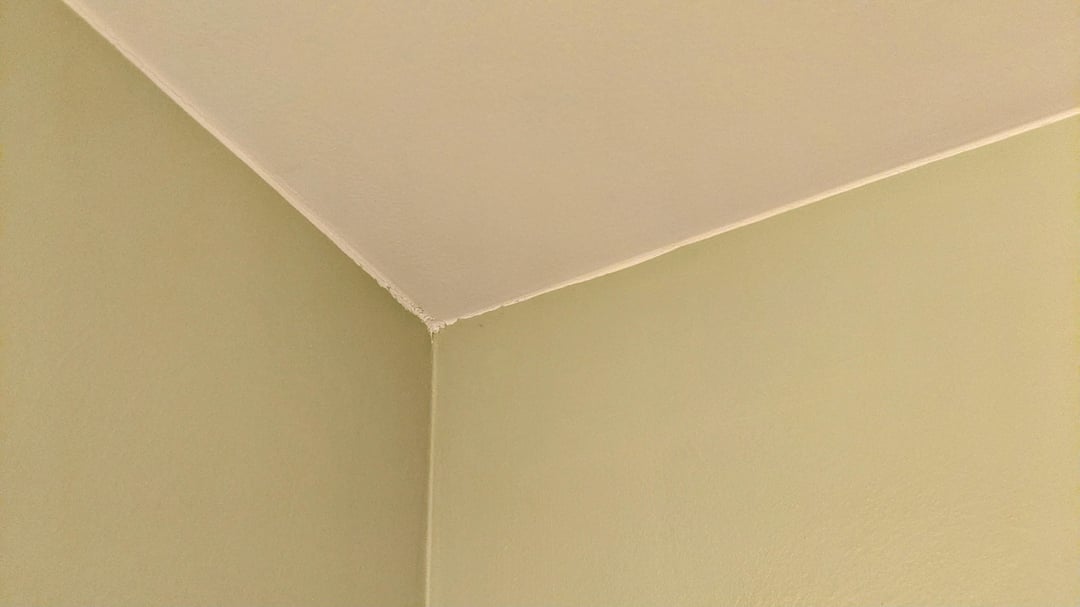 paint straight lines