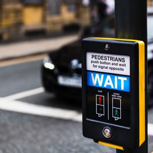 pelican puffin toucan crossing