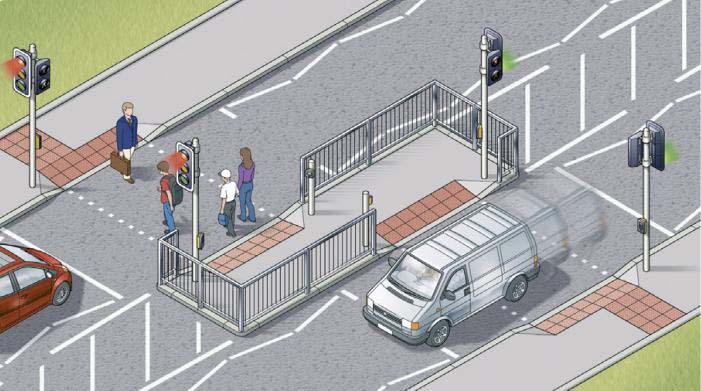 puffin pelican toucan crossing