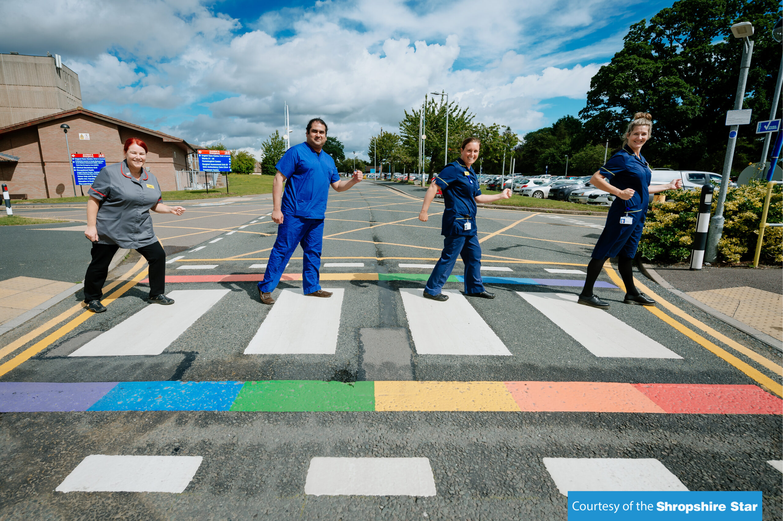 different pedestrian crossings